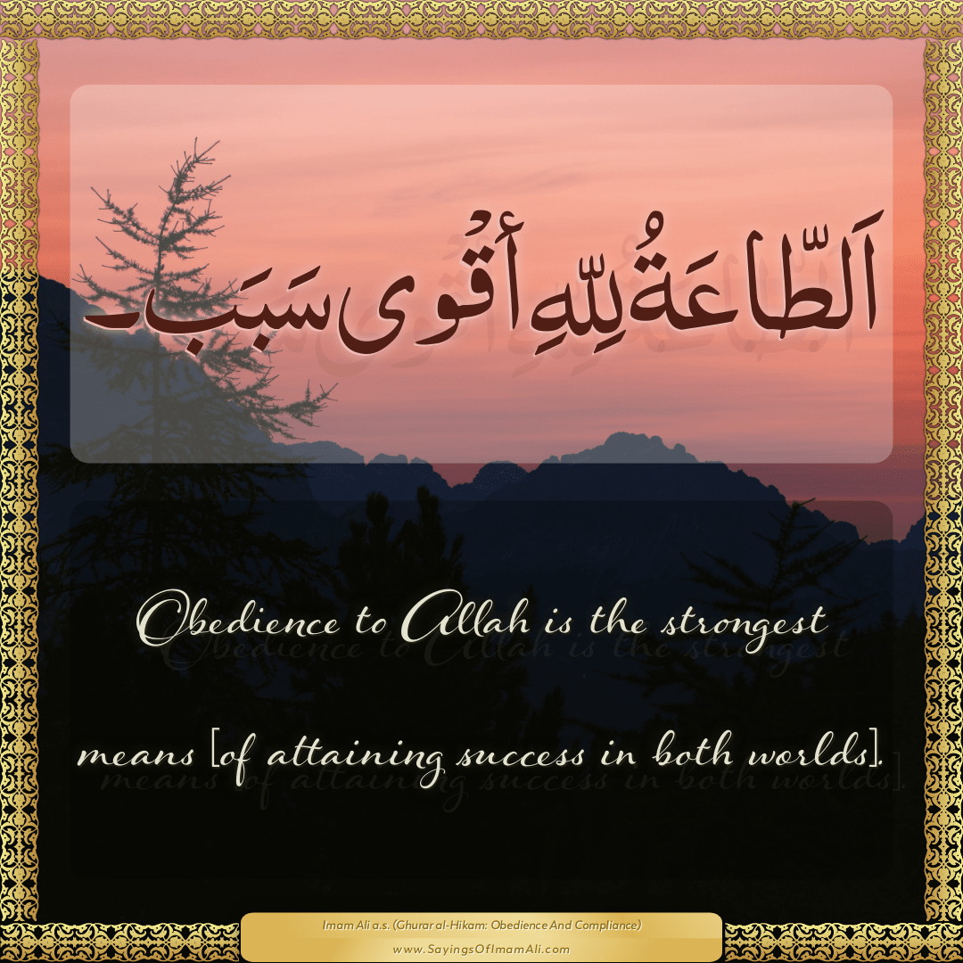 Obedience to Allah is the strongest means [of attaining success in both...